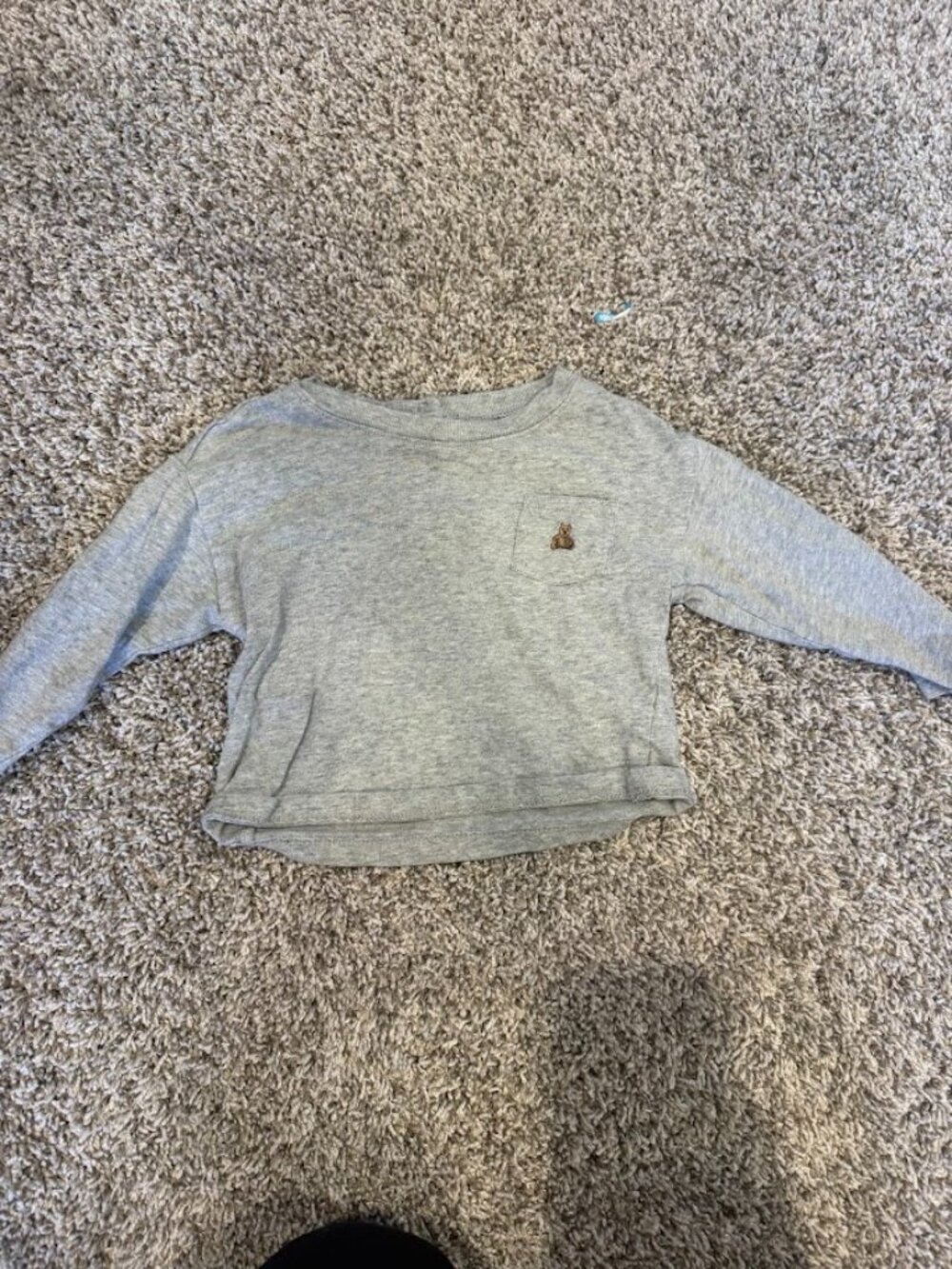 Baby Gap Baby Brannan Grey Long Sleeve Shirt | 12-18M